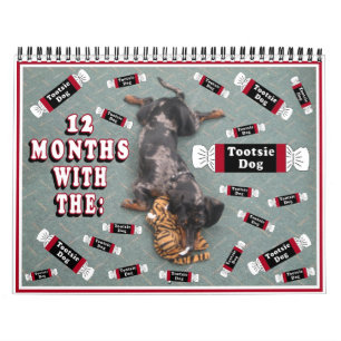 12 Monate mit dem tootise Hund Kalender