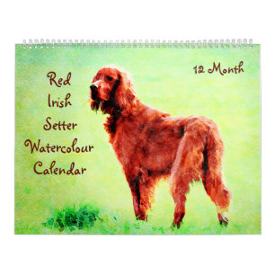 12 Monate Red Irish Setter Dog Aquarellmalerei Kalender