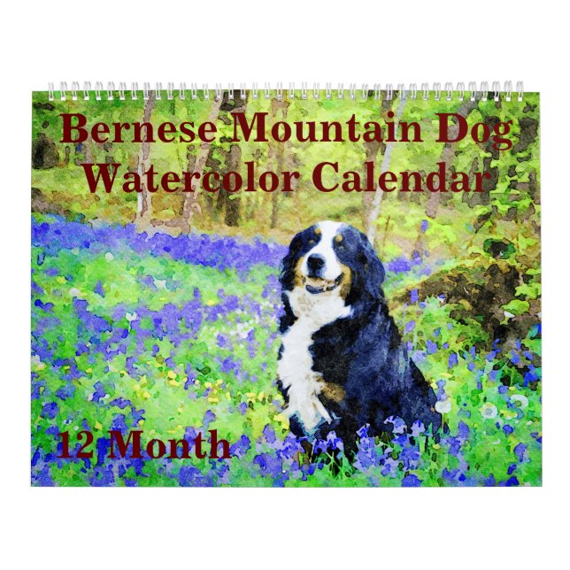 12 Monate Regal Berner Bergsee-Zauber im Val Piora Kalender (Titelbild)