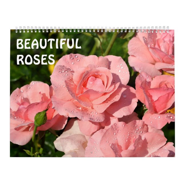 12 Monate Schöne Rose Kalender (Titelbild)
