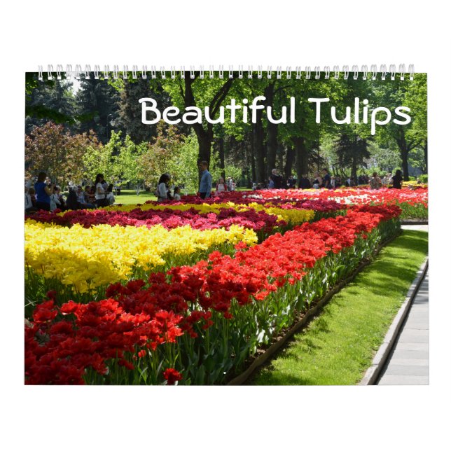 12 Monate Schöne Tulips Kalender (Titelbild)