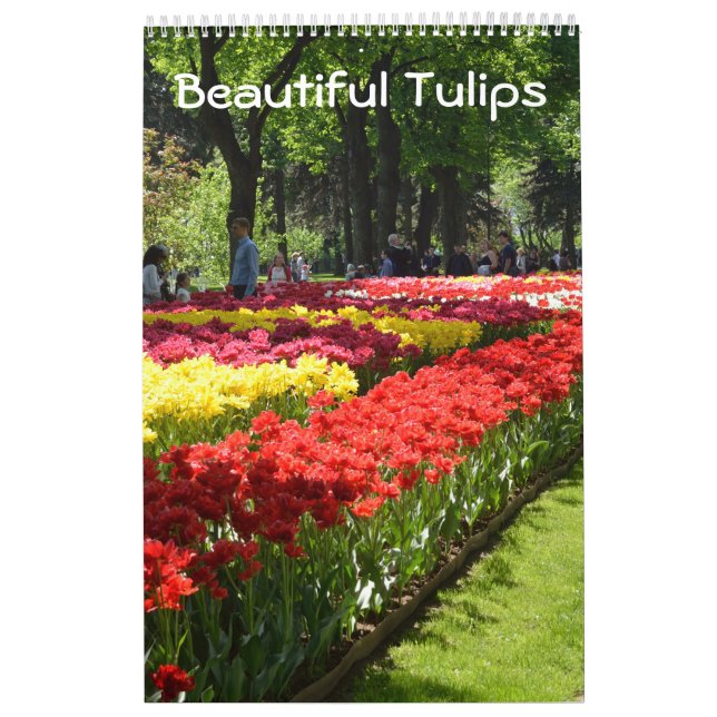 12 Monate Schöne Tulips Kalender (Titelbild)