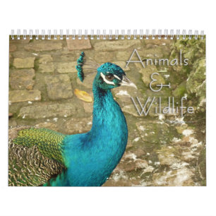 12 Monate Tiere und Wildlife-Fotografie Kalender