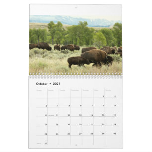 12 Monate Tierwelt und Wildtiere Edition 3 Kalender
