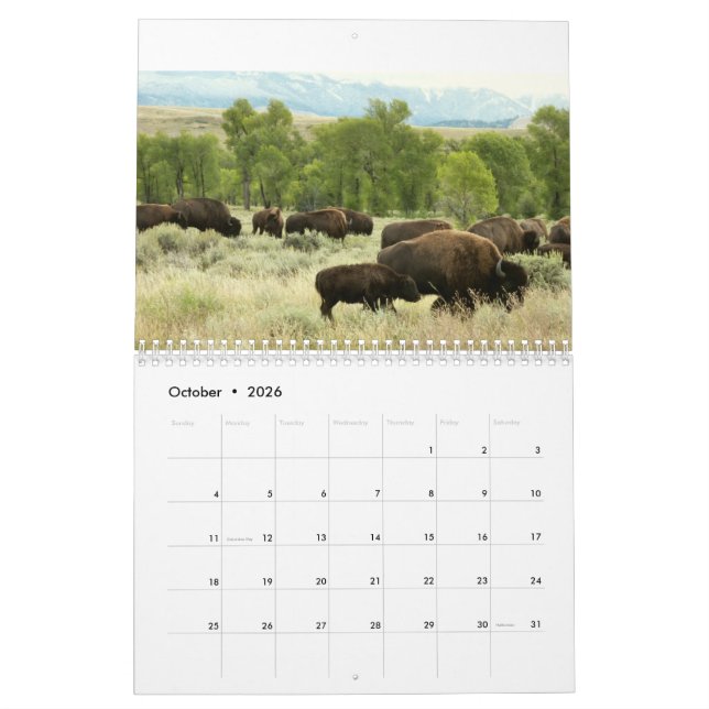 12 Monate Tierwelt und Wildtiere Edition 3 Kalender (Okt 2026)