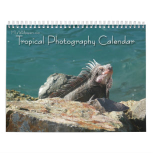 12 Monate tropische Fotografie, 2. Ausgabe Kalender