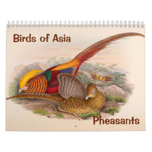 12 Monate Vögel aus Asien: Fasane 2017 Kalender