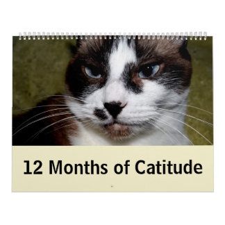 12 Monate von Catitude Kalender
