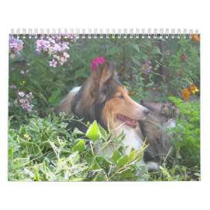 12 Monate von Dudley Kalender