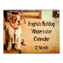12-monatige englische Bulldogge britischer Stier