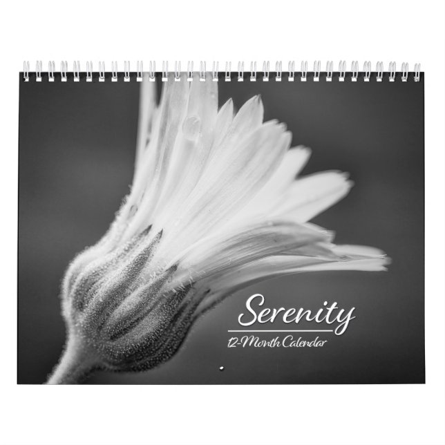 12-monatiger Kalender (Titelbild)