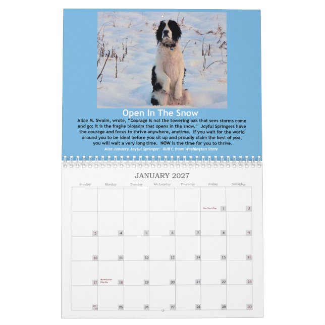 12-monatiger Kalender des frohen Springer-2013 (Jan 2027)