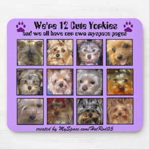 12 NIEDLICHE YORKIES - Mousepad besonders