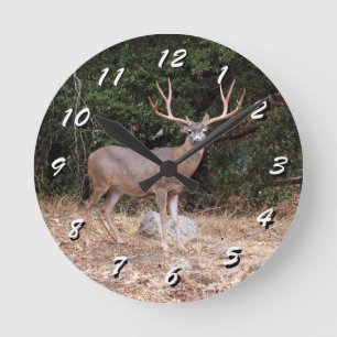 12 Nombre de choix : horloge de cerfs sauvages