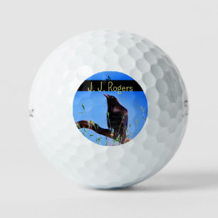 (12 Pack) Wildlife Raven Bird Personalisiert Golfball