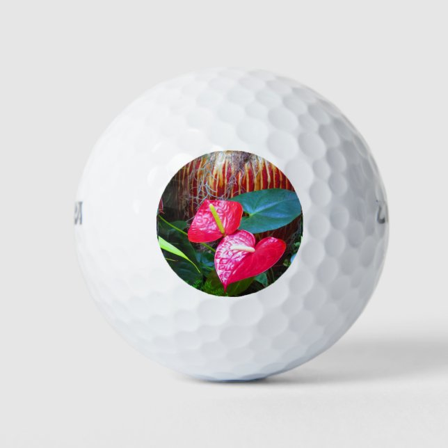 (12 Pack) Wilson Ultra 500 Distance Golf Ball (Vorderseite)