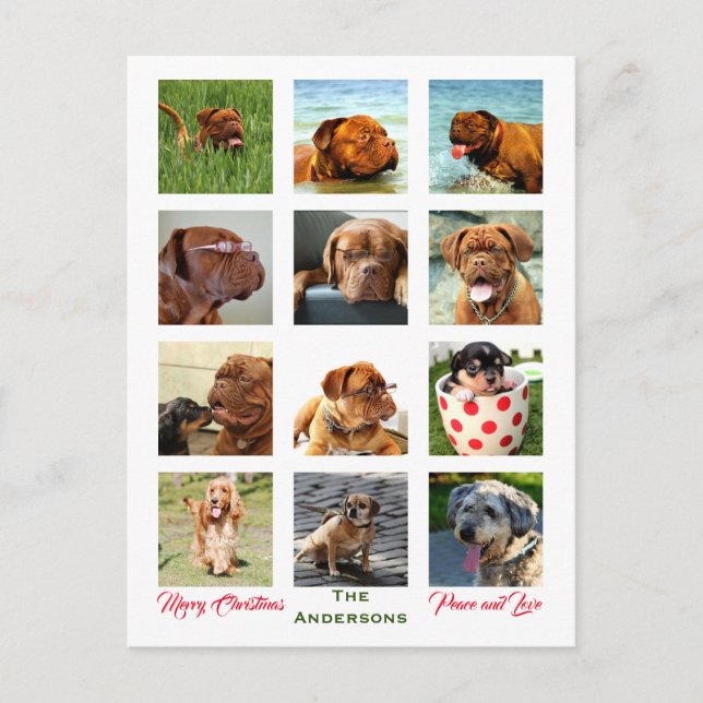 12 Picture Family Foto ✨ Collage Christmas Postkarte (Vorderseite)
