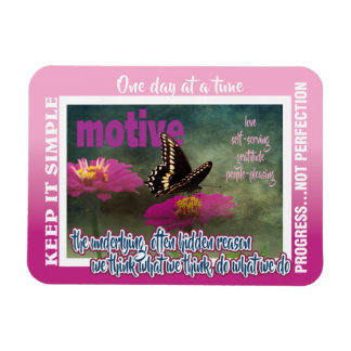 12-Schritte-Motive Magnet 26 Schmetterlinge