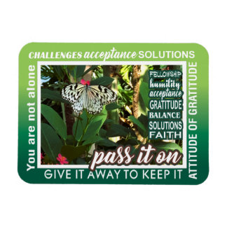 12 step recovery pass it on magnet 26 butterflies
