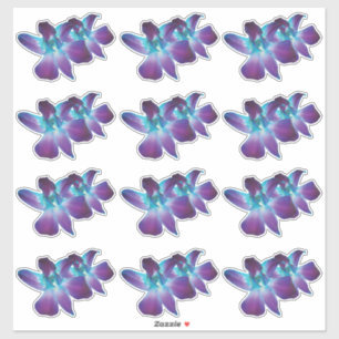 12 Stickers Bleus Dendrobium Orchidée