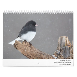 12 Vögel für 2017 (Titel geregelt) Kalender