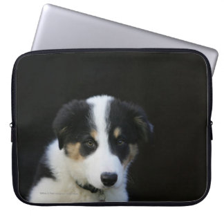 12 Wochen-alter Border-Collie-Welpe Laptopschutzhülle