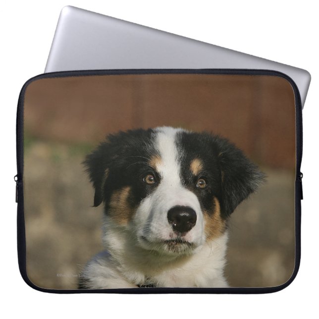 12 Wochen-alter Border-Collie-WelpeHeadshot Laptopschutzhülle (Vorderseite)
