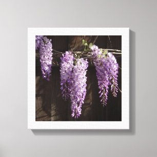 12" x 12" Lila Wisteria auf Holzzaun Leinwanddruck