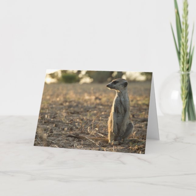 12ème carte d'anniversaire de Zaphod 1 (Devant)