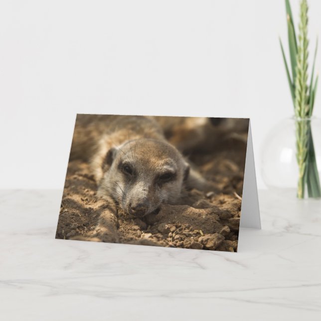 12ème carte d'anniversaire de Zaphod 4 (Devant)