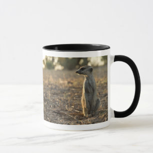 12ème tasse d'anniversaire de Zaphod