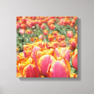 12x12 Leinwand-Kunst-Druck Tulpen-Blumen quadratis Leinwanddruck