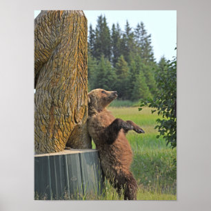 12x16 Poster des Grizzlybären