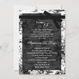 12x18 Black ToileFabric Quinceanera Party Einladun Einladung