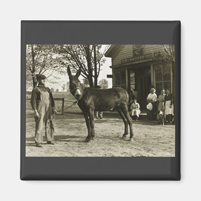 12x18 GLASS NEGATIVE Milwaukee Mule Magnet (Vorne)