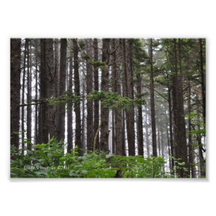 12x18 La Push 2. Strandweg Fotodruck