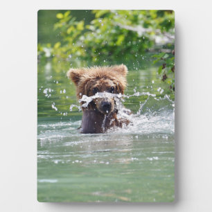 12x18 mit Grizzlybär Fotoplatte