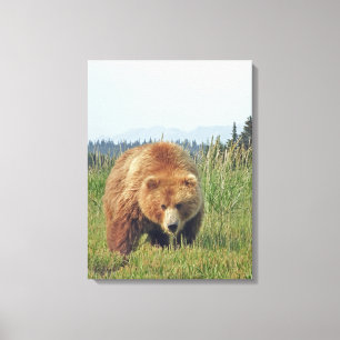 12x24 Toile embouteillée (Gloss) avec ours grizzl