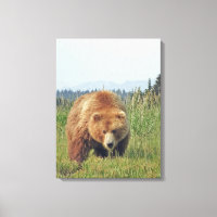 12x24 überzogene Canvas (Glanz) mit Grizzlybär