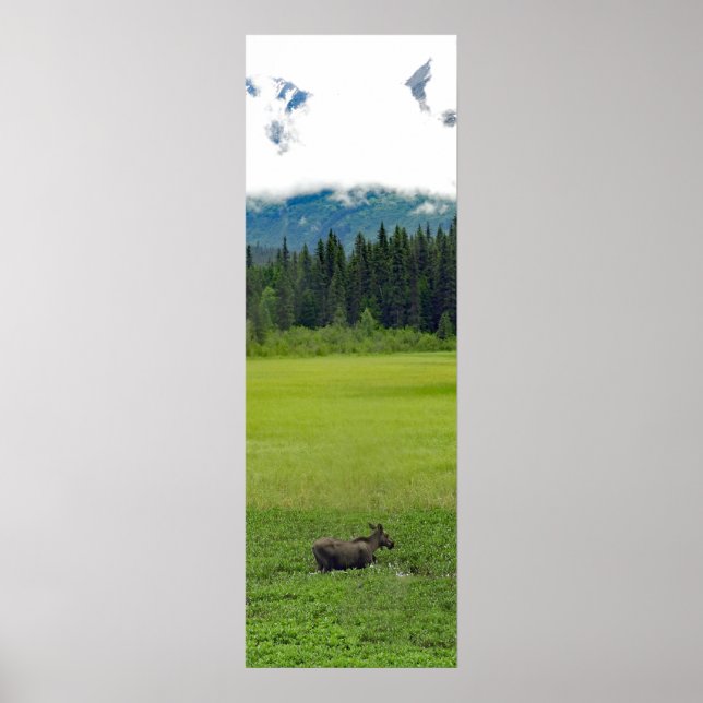 12x36 Plakatpapier (Matte) aus Elch Poster (Vorne)