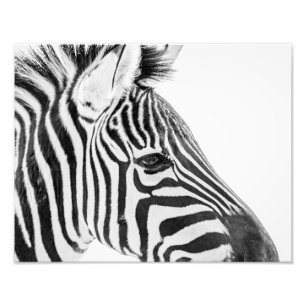 1318-Zebra Fotodruck