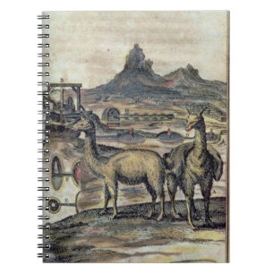 137-0627924 Illustration von einer Geschichte von Notizblock