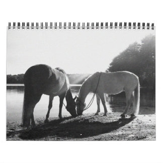 13-monatiger Kalender 2011