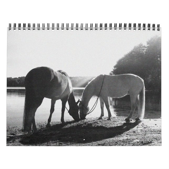 13-monatiger Kalender 2011 (Titelbild)