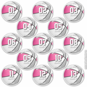 13 rosa graue Teamfarben Basketball-Aufkleber Aufkleber