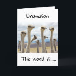 **13** SIE SIND JETZT TEENAGER **GRANDSON** KARTE<br><div class="desc">GLÜCKLICHER GEBURTSTAG ***GRANDSON**** DANKE,  DASS SIE VON EINER MEINER ACHT GESCHÄFTE GESCHAFFEN HABEN!</div>