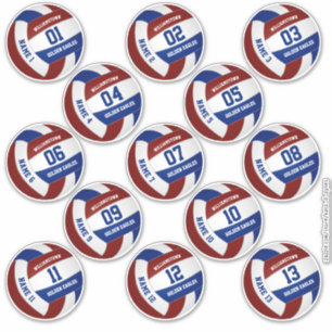 13 Stück Spielernamen Maroon Blue Volleyball Aufkleber