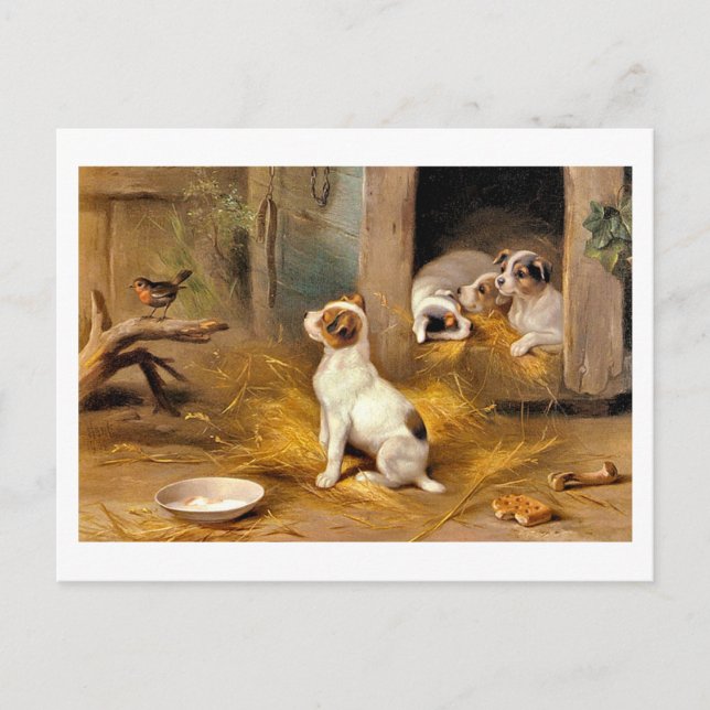 13a Welpen Postkarte (Vorderseite)