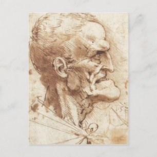 1487 1490 ) ist ein zeichn von Leonardo da Vinci S Postkarte