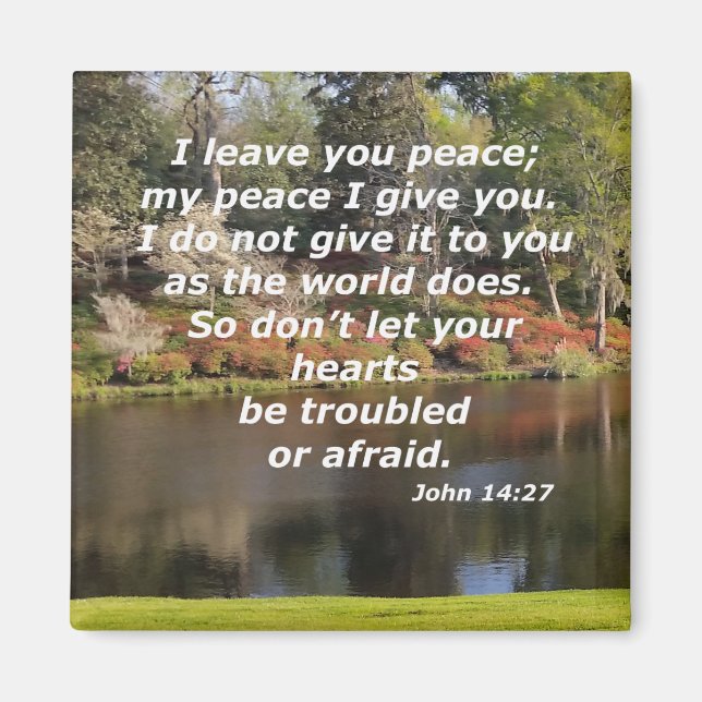 14:27 MAGNET (Vorne)